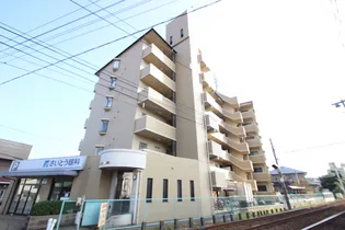 アルバパッソの画像