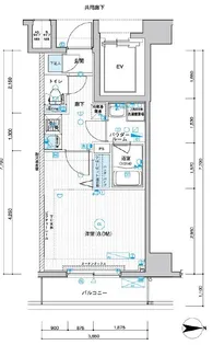 メインステージ武蔵関駅前II【8階】の間取り