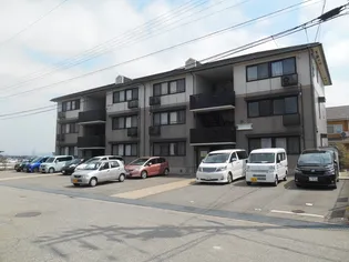 ロビュスト三栄IIの画像