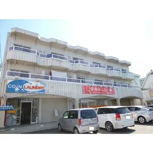 ザ ホワイトハウスの画像