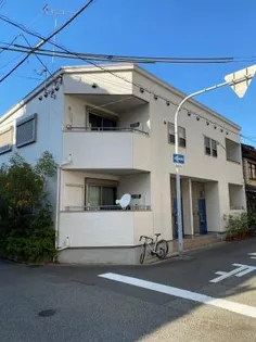 ワイズグリーンIIの画像