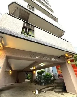 セザール富岡の画像