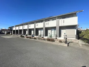 cherry blossomの外観