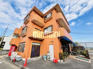 カディス6の画像