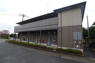 SHAMAISON コートパインズAの画像