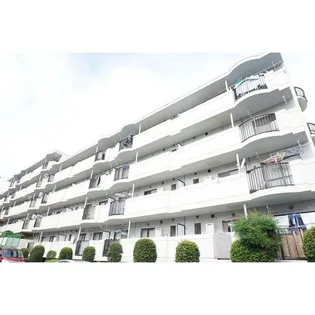 ビューラー風久保の画像