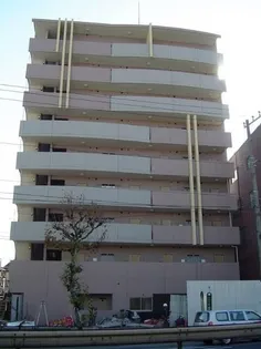 メゾン・ド・リュミエール【3階】の外観