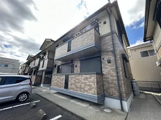 サザンクロスの画像