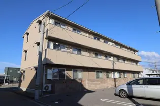 アムールの画像