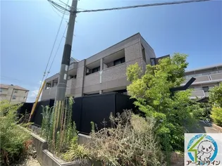 シェルル ハナミズキの画像