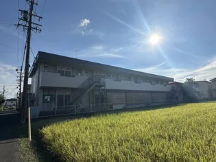 アルトの画像
