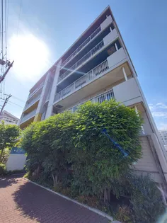 コリノ洗足池の画像