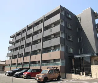 ライズ霧島の画像