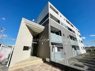 アングロ フェリーチェの画像