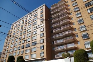 南青山第一マンションズの画像