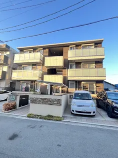 クランベリーの画像