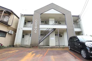 コスモスの画像