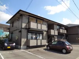 シトラスの風の画像