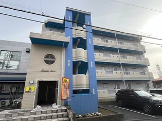 セレステディオーサの画像