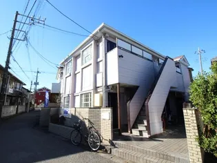 ゼフィランサス新柏の画像