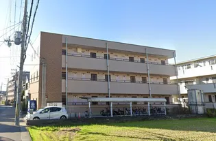 Collection甲東園【3階】の外観