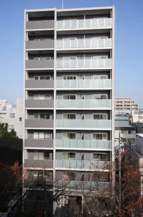 トゥルーハーモニーの画像