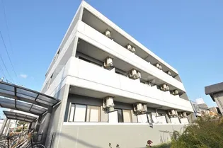 MARECAGE柏の画像