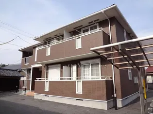 さくらの画像