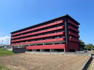 グレイスインジャドの画像