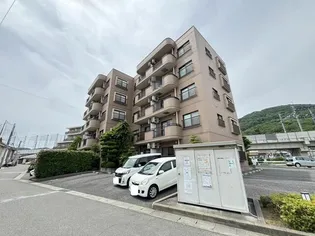 パシィフィックIIの画像