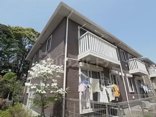 トップVIIの画像