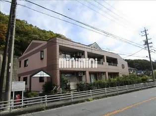 シャロームの画像