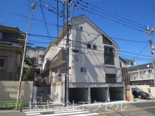 サニーグレイスの画像