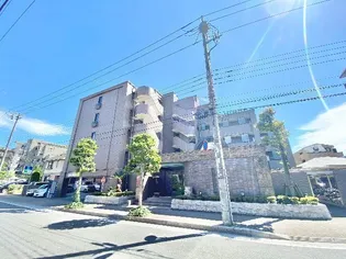 リバレインの画像