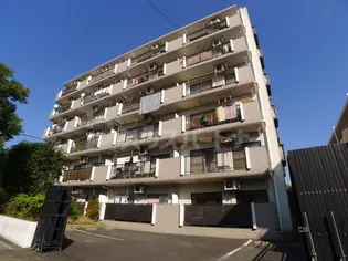 セボールの画像