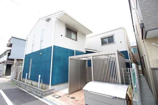 サルフレアの画像