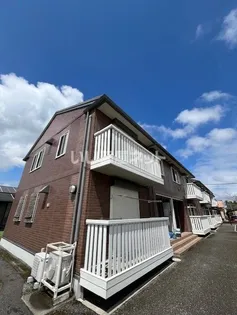 サングリーンDの画像