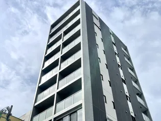 シエルエックスの画像