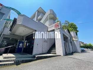 スターリー53の画像