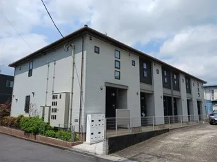 グラティアの画像