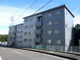 サルヴァトーレ堂崎の画像