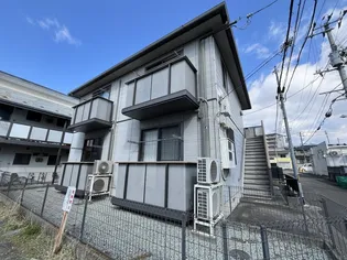 ルネッサンスTの画像