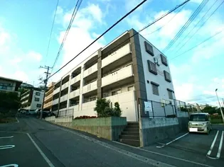 シンコーズ グランデの画像