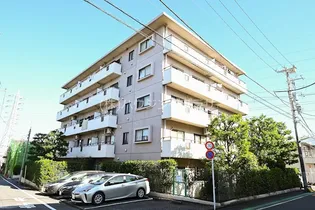 ソフィア代田の画像