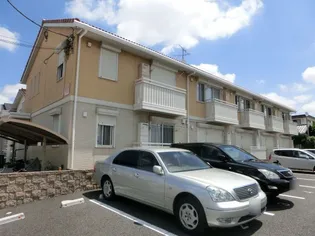 カリーノフィオーレの画像