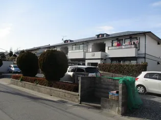 ピュアステージの画像