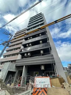 MJC大阪リベルテの画像