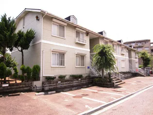 エヴァーウィンの画像