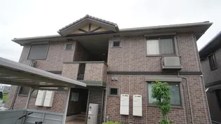 ブラン ブルーDの画像