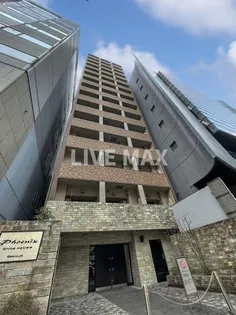 フェニックス芝アストラーレ【3階】の外観